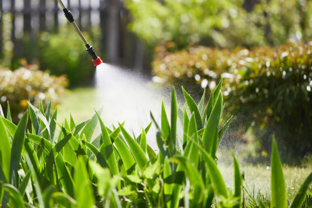 Tamper-Resistant Bait Stations for Rodents in Belmond
