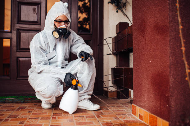 Attic and Crawl Space Rodent Treatment in Belmond